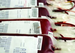 Domaine Sciences : transport de sang