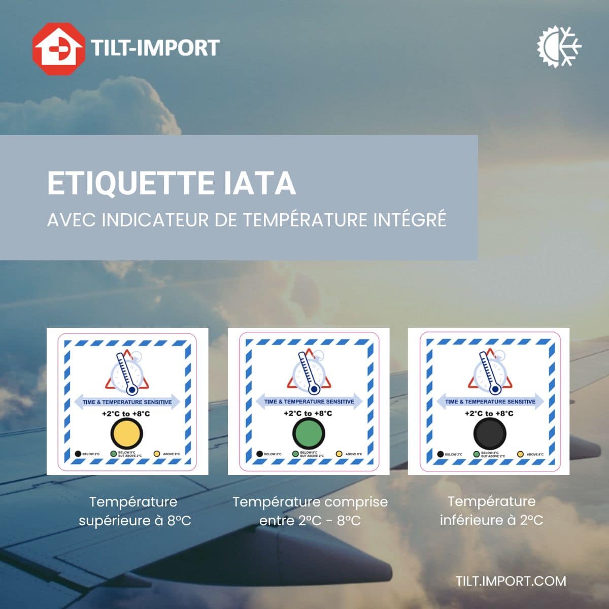 Etiquette IATA avec indicateur de température Etiquette IATA